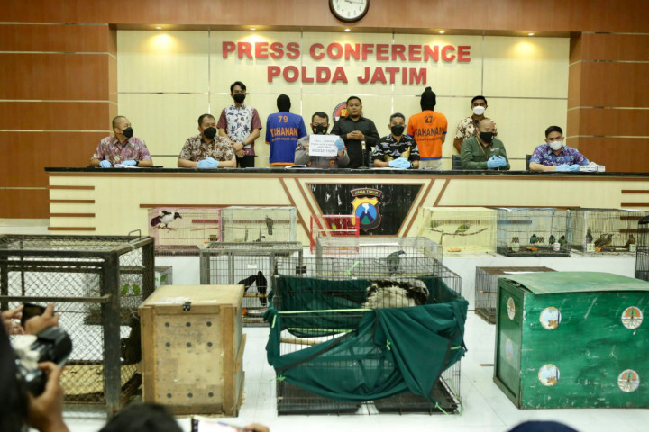 Polda Jatim Gagalkan Perdagangan 304 Satwa Dilindungi