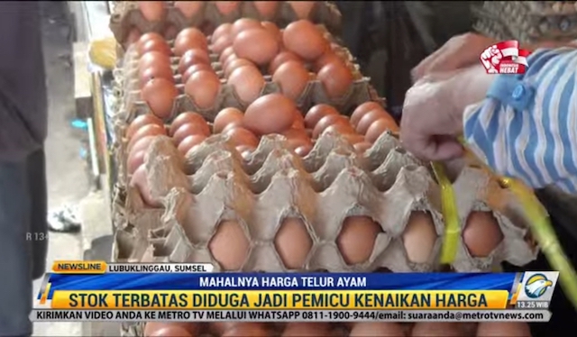 Harga Telur di Pasar Terus Melonjak, Pedagang Khawatir Pembeli Kabur