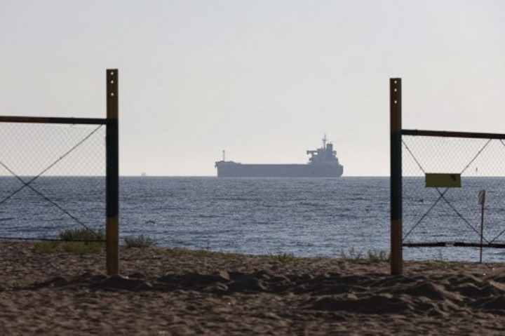 Ukraina Telah Ekspor 1 Juta Ton Biji-bijian Sejak Perjanjian Istanbul