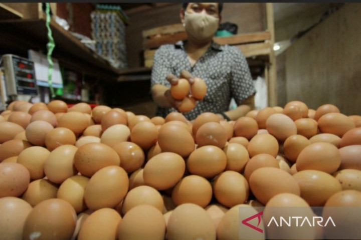 Warga Tasikmalaya Mengeluh, Harga Telur Ayam Capai Rp34 Ribu Per Kg