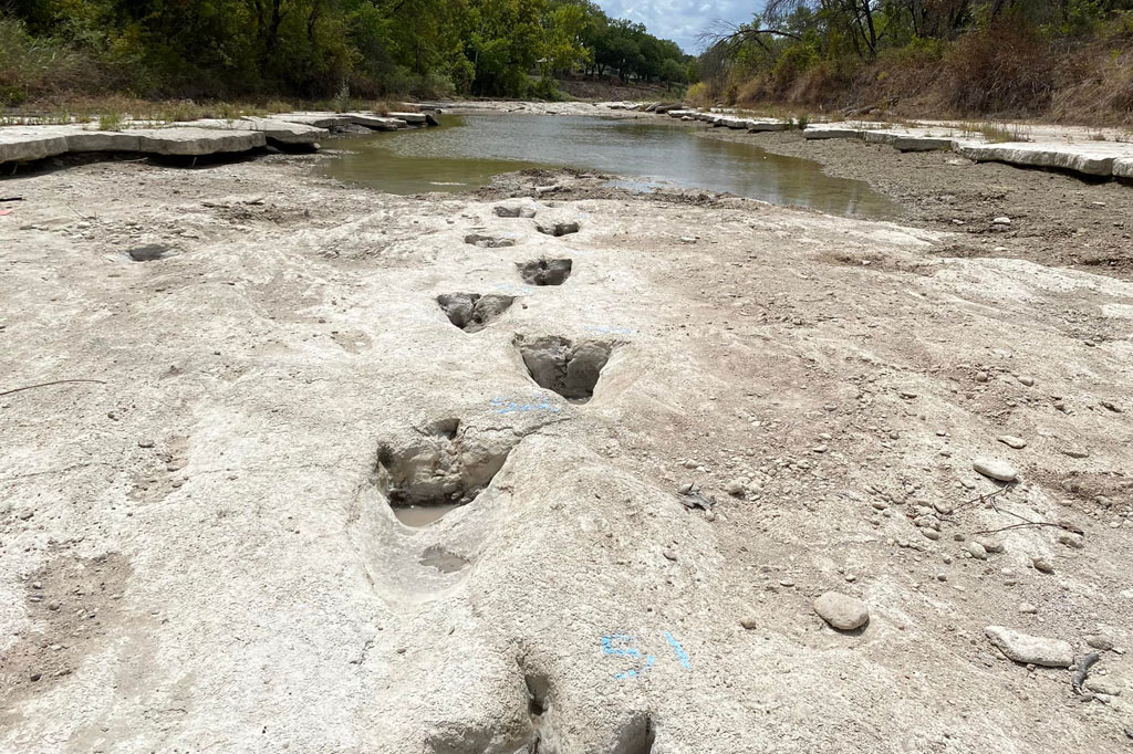 Foto: Kekeringan Mengungkap Jejak Dinosaurus di Taman AS