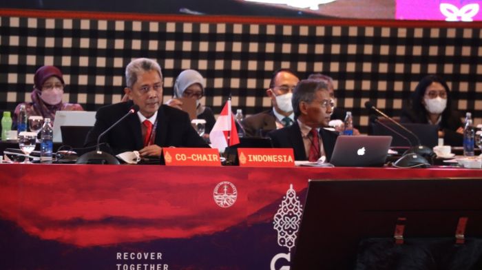 Pertemuan Deputi Lingkungan G20 Fokus Kendalikan Perubahan Iklim