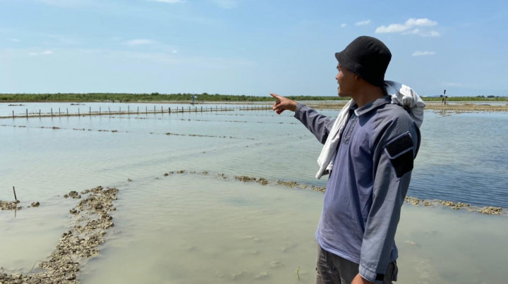 Ironis, Harga Melambung Petani Garam di Cirebon Malah Gagal Panen