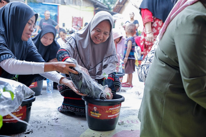 Mak-mak Tanam Ribuan Pohon Cabai Serentak di 5 Wilayah DKI Jakarta