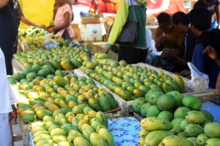 Pasar Menjanjikan, Mangga <i>Food Estate</i> Bakal Mampu Bersaing di Eropa