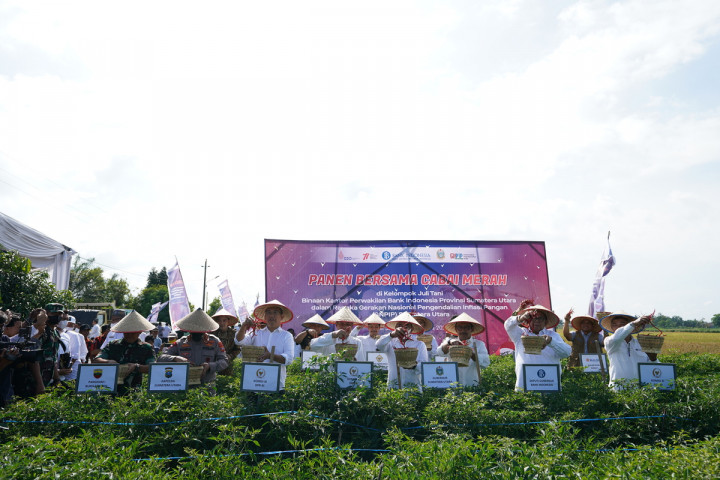 BI Bantu Kendalikan Pasokan Cabai dan Bawang Merah di Sumut