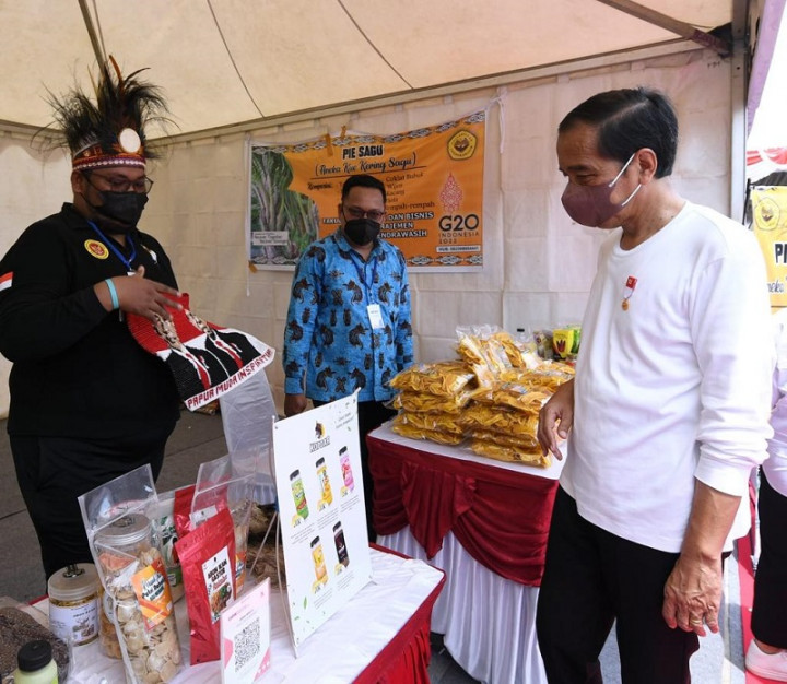 PMI Sampaikan Progres Program Kerja dan Gedung PYCH ke Jokowi