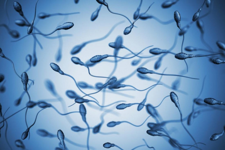 Mengenal Spermatogenesis, Proses Terbentuknya Sperma