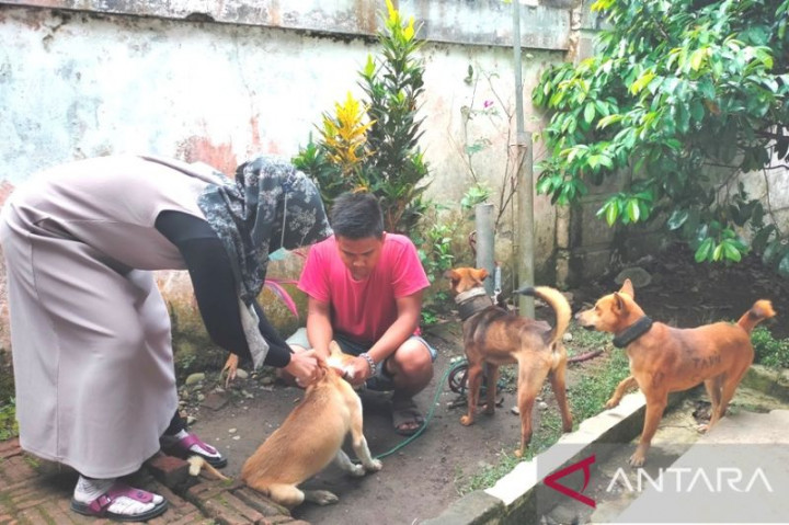 Kabupaten Sikka Terancam Darurat Rabies