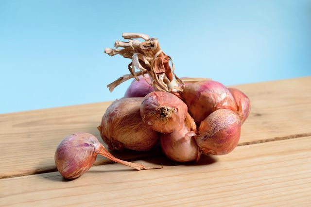 Ini penelitian terbaru akan khasiat bawang untuk diabetes dan kolesterol. (Foto: Ilustrasi/Pexels.com)