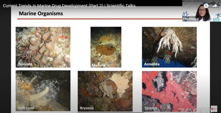 Peneliti BRIN Ungkap Produk Alami Laut Berpotensi Jadi Obat Terapi Kanker