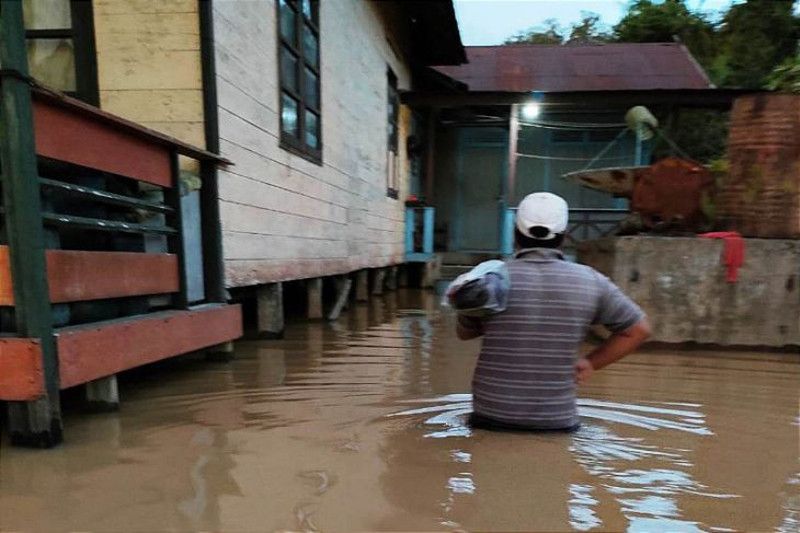 Banjir yang merendam salah satu desa di Kecamatan Banama Tingang, Rabu (7/9/2022). ANTARA/ HO-Pemerintah Kecamatan Banama Tingang.