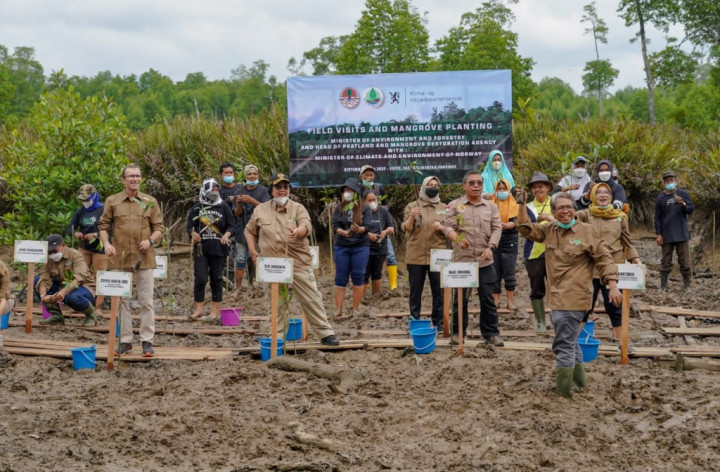 Indonesia-Norwegia Perkuat Kerja Sama Rehabilitasi Mangrove