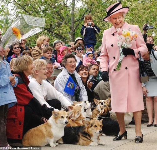 Ratu Elizabeth II saat disambut oleh para pemilik anjing corgi di Edmonton sewaktu tur Kanada. (Foto: Dok. Fiona Hanson PA wire/PA/Dailymail.co.uk)