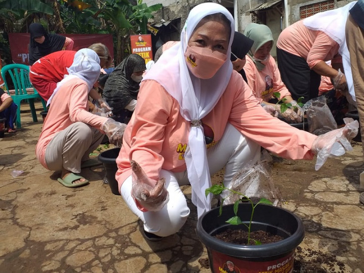 Ratusan Bibit Cabai Disebar untuk Warga Cilandak
