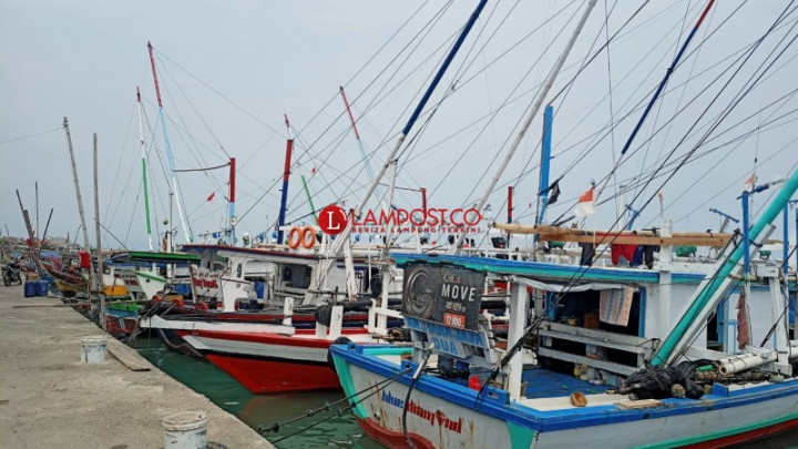 Aktivitas Nelayan di Lampung Selatan Lumpuh Imbas Kenaikan BBM