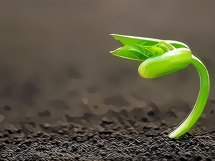 Menggaet Anak Muda Melek Isu Lingkungan