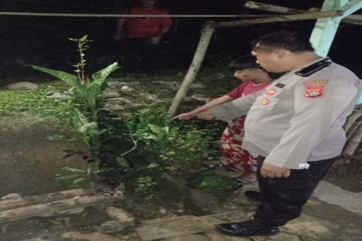 Lagi Duel Maut Sesama Santri di Lampung, Seorang Tewas Ditikam Lagi Duel Maut Sesama Santri di Lampung, Seorang Tewas Ditikam