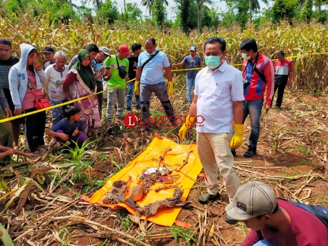 Warga Dusun Tanjungsakti, Desa Pakuanaji, Kecamatan Sukadana, menemukan kerangka manusia, di sebuah perladangan jagung, Jumat, 16 September 2022. Lampost.co/Arman Suhada