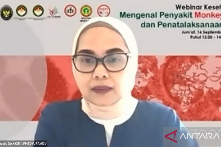 Satgas: Perketat Pemantauan <i>Monkeypox</i> di Semua Pintu Masuk Negara