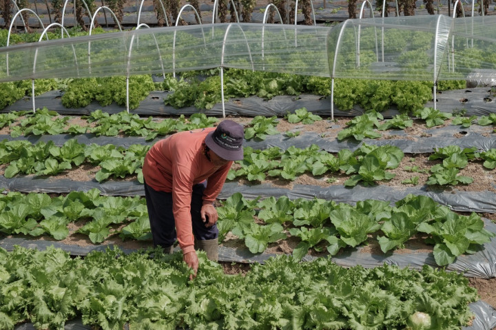 Petrokimia Gresik Siap Bantu Pemerintah Hadapi Krisis Pangan Dunia
