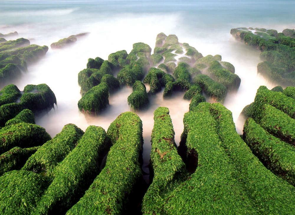 7 Tempat Wisata Alam Taiwan yang Wajib Dikunjungi (Foto: instagram)