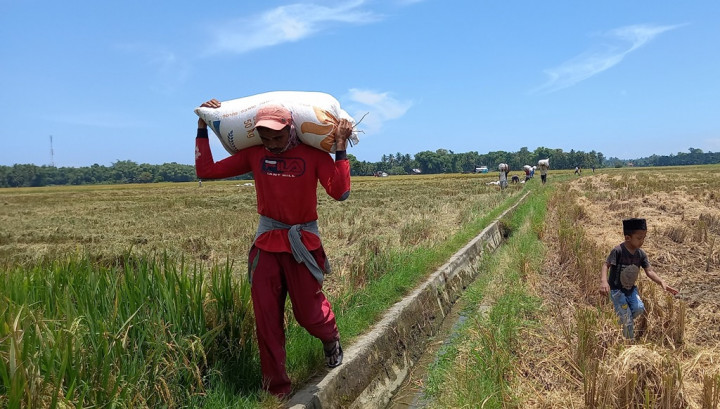 <i>Hey</i> Anak Muda! Saatnya Petani Milenial Rajai Sektor Pertanian