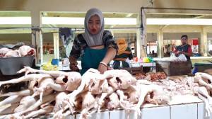 Stabilkan Harga Ayam Ras, BPN Kumpulkan Pengusaha dan Asosiasi Peternak Unggas