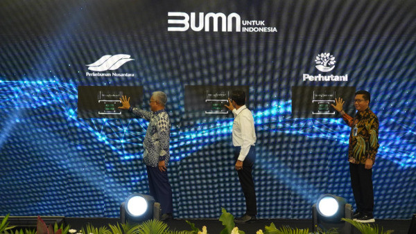 Dukung Ketahanan Energi-Pangan, Perhutani Luncurkan Klon Unggul Jati dan Kayu Putih