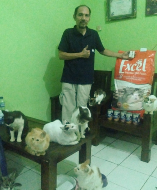 Andreas Nainggolan mendirikan shelter rescue sederhana yang diberi nama Shelter Miau Miau Cats Rescue sejak 2017 (Foto:Dok.Benihbaik.com)