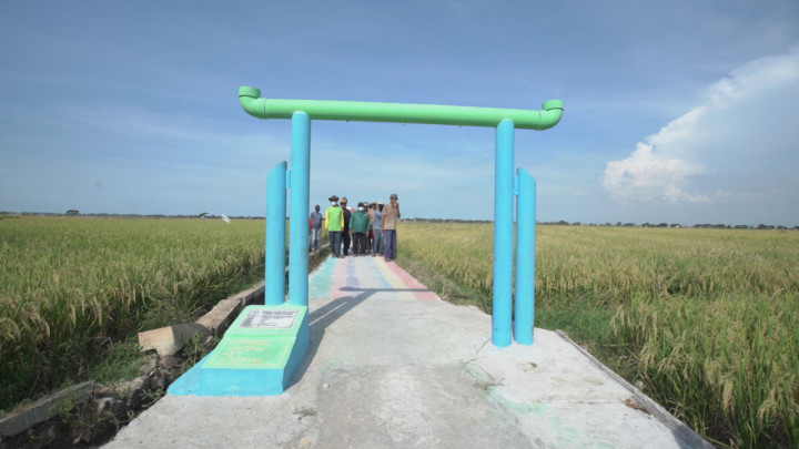 Kementan Dorong Produktivitas Pertanian dan Pemulihan Ekonomi dengan JUT