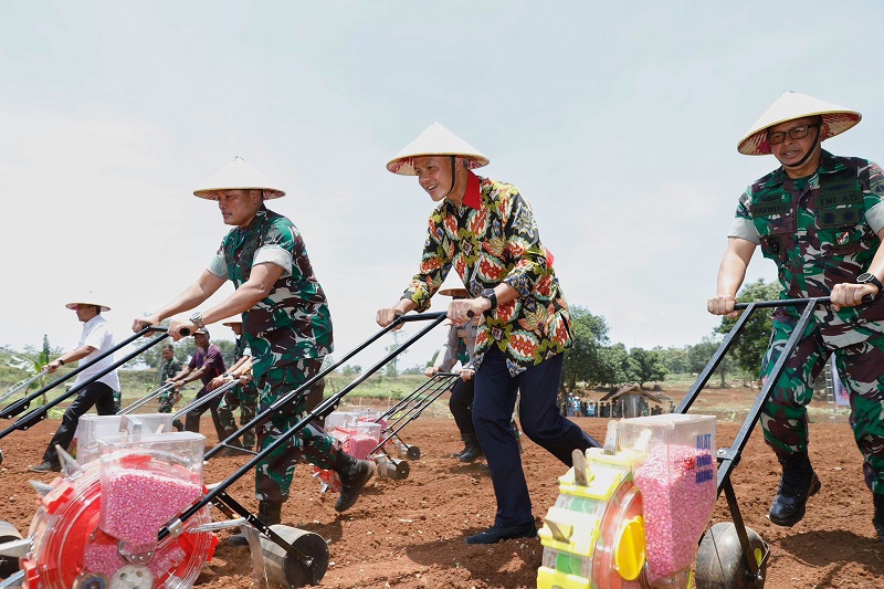 Cara Ganjar Perkuat Ketahanan Pangan, Manfaatkan Lahan Kurang Produktif Jadi Ladang Cara Ganjar Perkuat Ketahanan Pangan, Manfaatkan Lahan Kurang Produktif Jadi Ladang