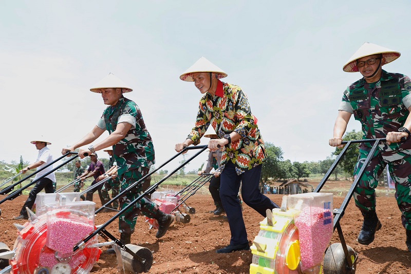 Cara Ganjar Perkuat Ketahanan Pangan, Manfaatkan Lahan Kurang Produktif Jadi Ladang