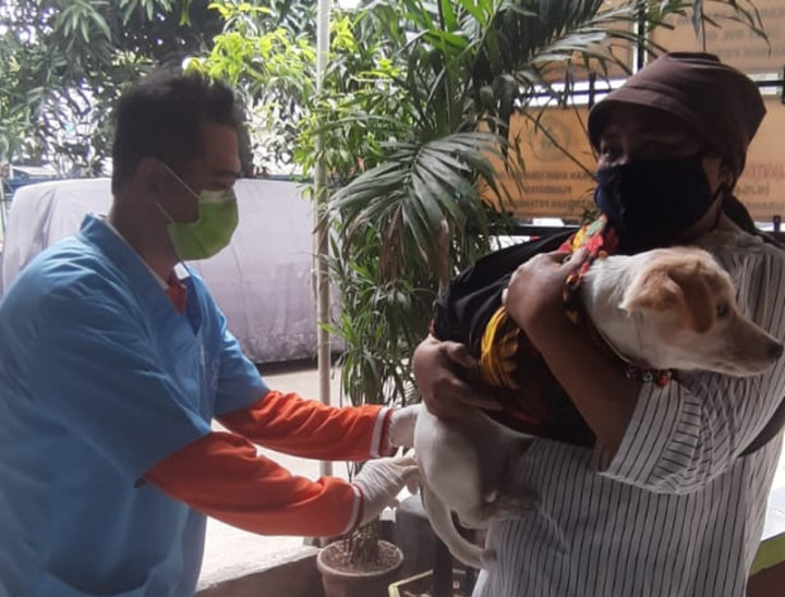 Waspada Rabies, Diskanak Kabupaten Garut Gelar Vaksinasi Hewan Gratis