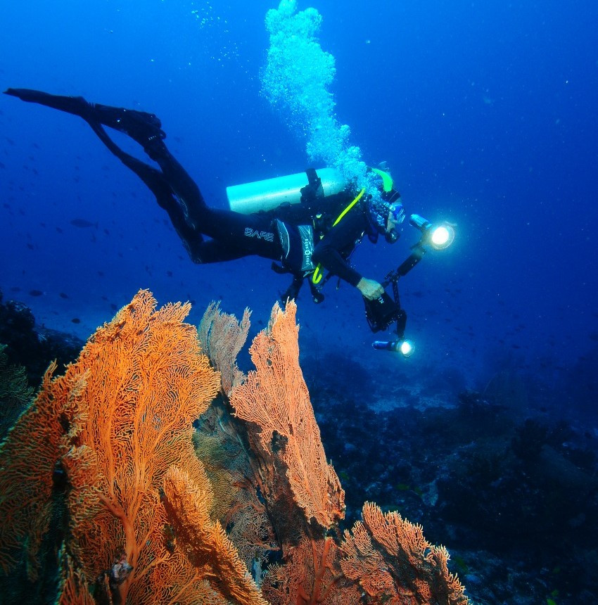 Aktivitas Diving di Sabang (Foto: Aceh Tourism)