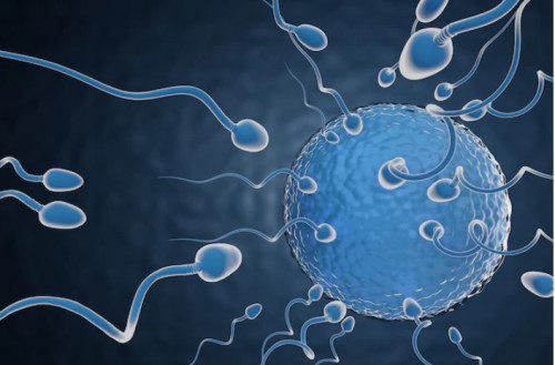 Pasutri Belum Punya Keturunan, Ini 5 Cara Meningkatkan Kualitas Sperma