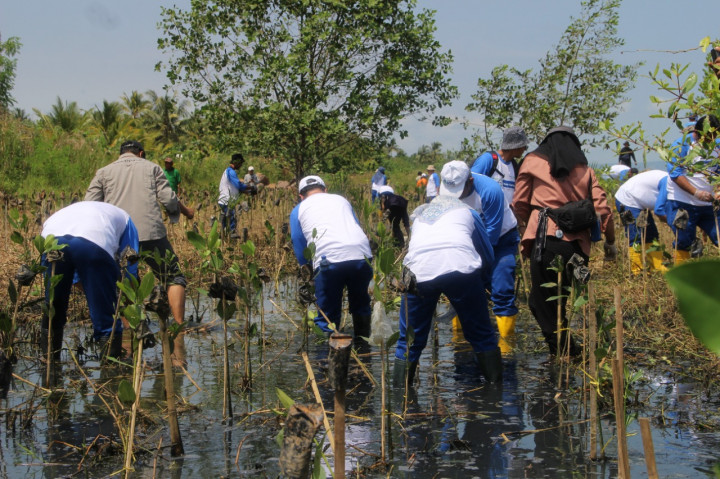 Yayasan Kehati Libatkan Untirta dalam Program Penanaman Bibit Mangrove