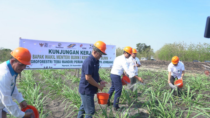 Kejar Swasembada Pangan, Perhutani Diminta Kerek Produksi Gula Nasional