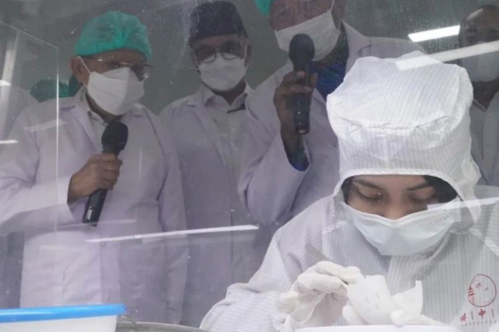 Wapres: Pemerintah Cari Solusi Masalah Pasar Sarang Walet