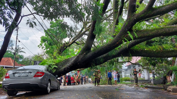 Diguyur Hujan Lebat, Pohon Tumbang Timpa Sedan Mewah di Kawasan Bandung Wetan