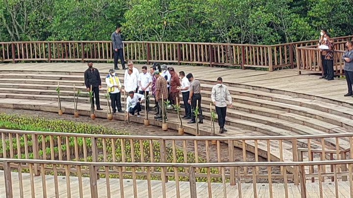 Jokowi Inspects Ngurah Rai Forest Park in Bali
