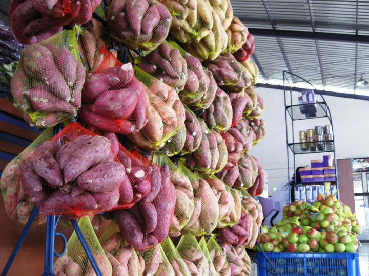 Umbi Garut Bisa Diolah Apa? dari Pangan hingga Bahan Kosmetik