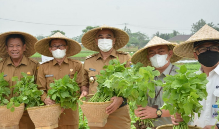 Kabupaten Tangerang Jaga Inflasi dengan Penampungan Hasil Bumi