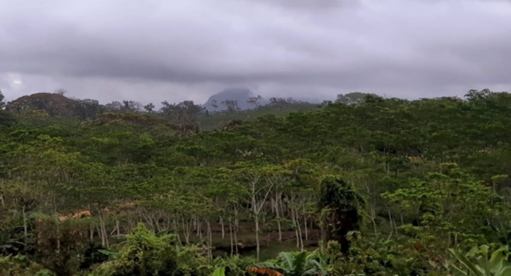 4 Alasan Petani Dukung Kawasan Hutan Khusus Di Jawa