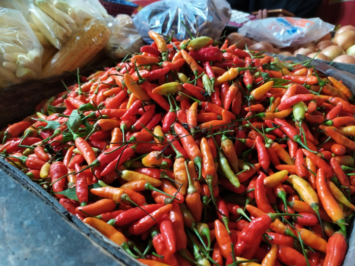 Kementan Godok Asuransi untuk Komoditas yang Berdampak ke Inflasi