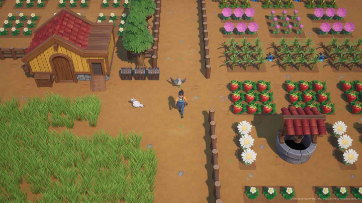 Spesifikasi PC Game Coral Island, Harvest Moon asal Yogyakarta