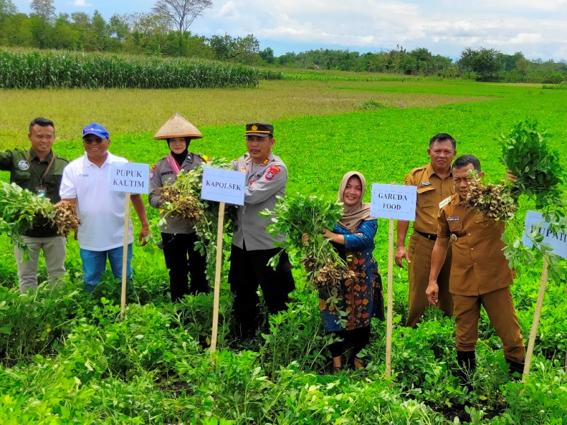 Pupuk Kaltim menggelar sosialisasi program Agrosolution dan pelatihan pembuatan kompos di Kabupaten Ponorogo. Foto: dok Pupuk Kaltim.