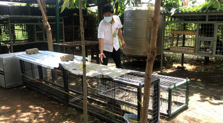 Puluhan Satwa Dilindungi Hendak Diselundupkan Melalui Pelabuhan Makassar