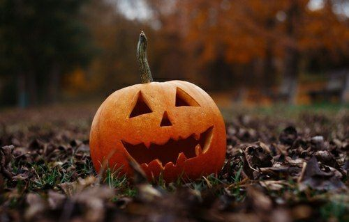 Labu Halloween. Foto: Pinterest
