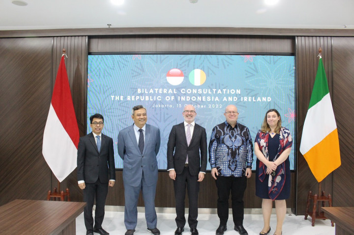 Indonesia-Irlandia Dorong Kerja Sama Konkret di Industri Kreatif